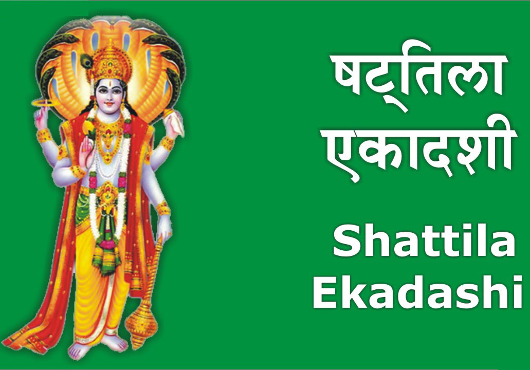 आज है षटतिला एकादशी जानिए महत्व एवं व्रत कथा Shattila Ekadashi Vrat Katha -  Vrat Katha in Hindi - सभी व्रत कथायें हिंदी में